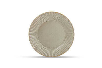Plate 9.3